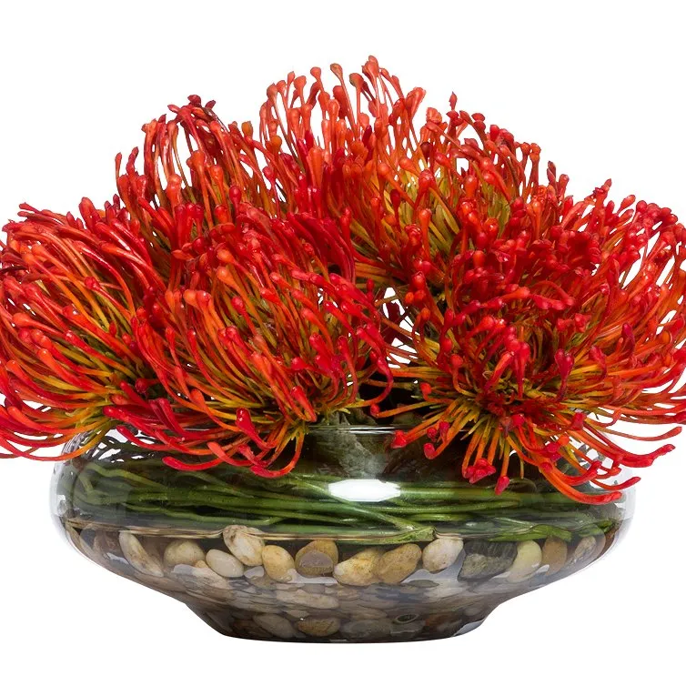 Fire Orange Pincushion Small Centerpiece Yacht Silks Arrangement