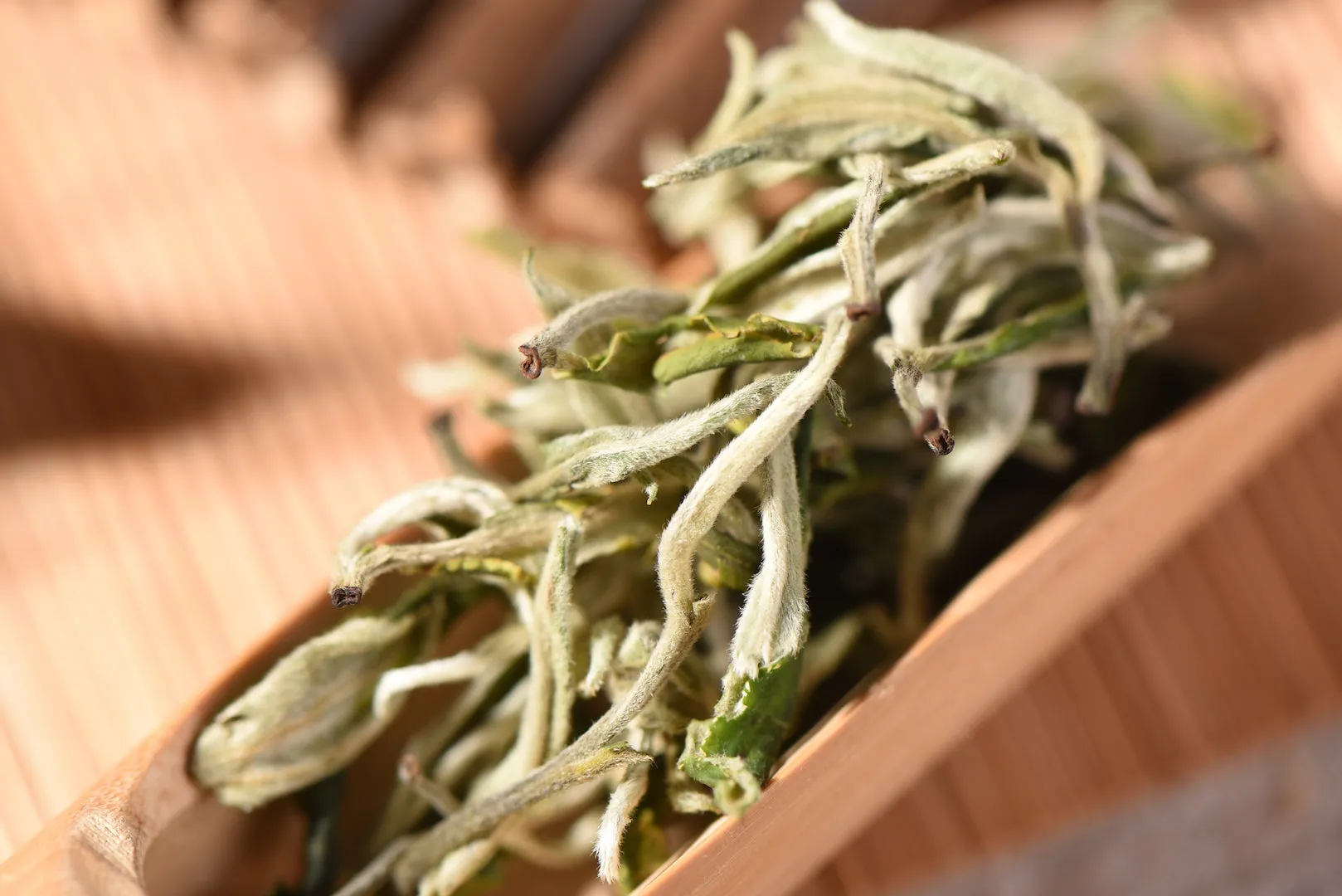 First Flush "Mao Feng" Yunnan Green Tea