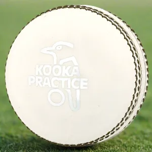 Kookaburra Practice Cricket Ball - WHITE