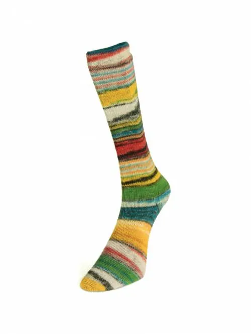 Laines Du Nord Eclectic Sock