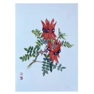 Sturt Desert Pea Art Print