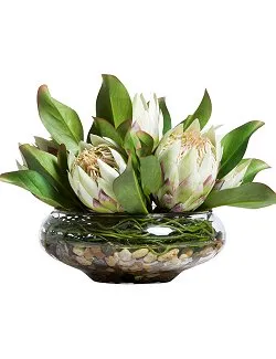 Tropical Proteas Small Centerpiece Yacht Silks Arrangement