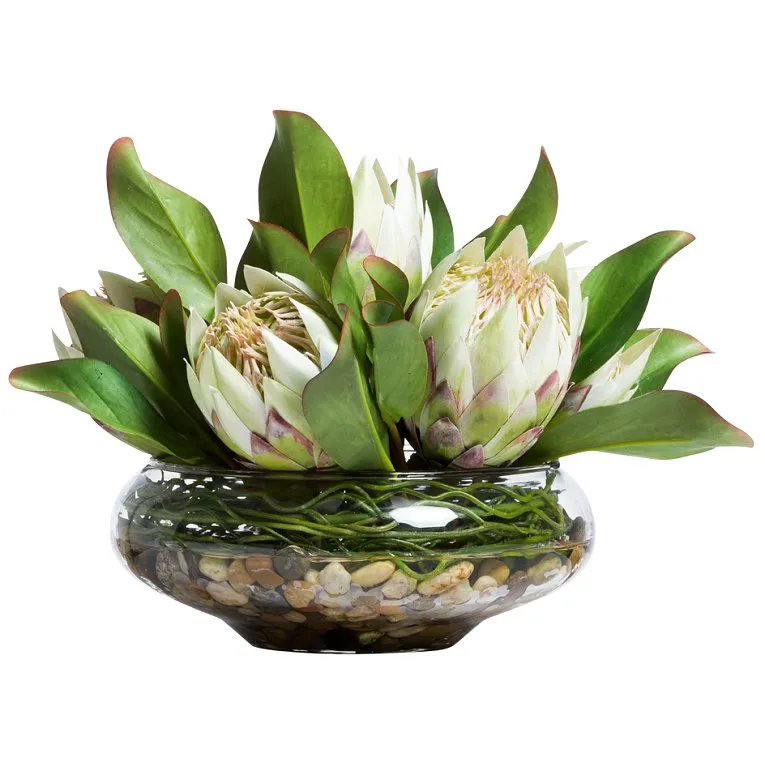 Tropical Proteas Small Centerpiece Yacht Silks Arrangement